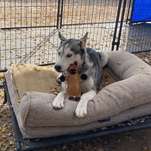 Meet your Posher, Leslie